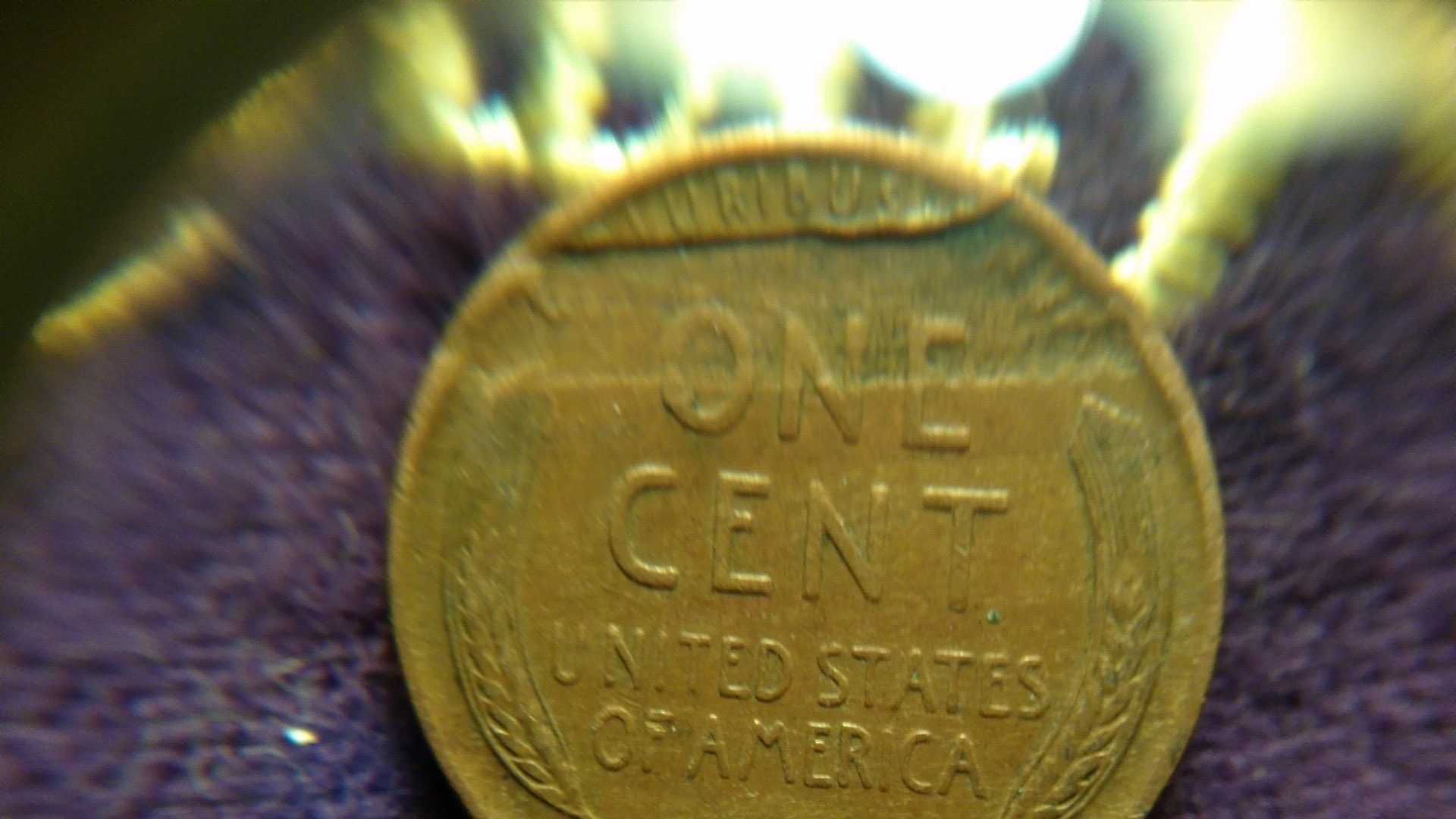 Found-Another-Misfit-In-My-Wheatys.-Mint-Error?